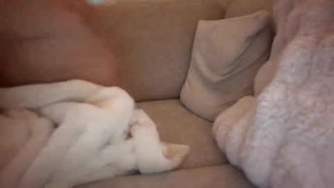 joeybanan online show from 12.14.25