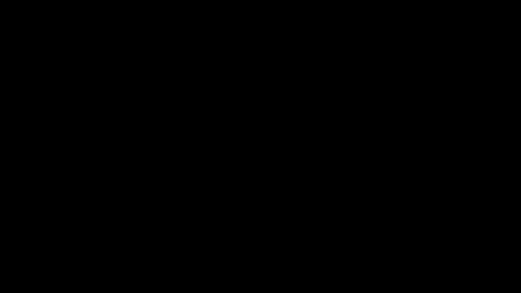 joeyjoy11125648 online show from 12.24.24