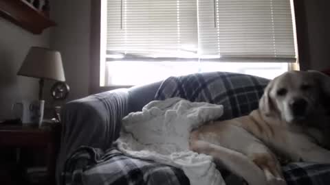 Johston online show from 11.05.25