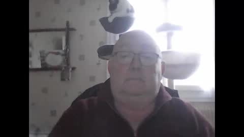 jojo60000529566 online show from 12.07.24