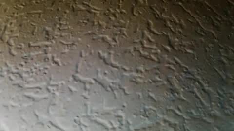 jojo811301 online show from 01.09.26