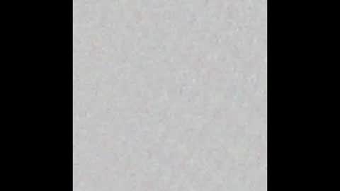 Jolene online show from 02.02.26