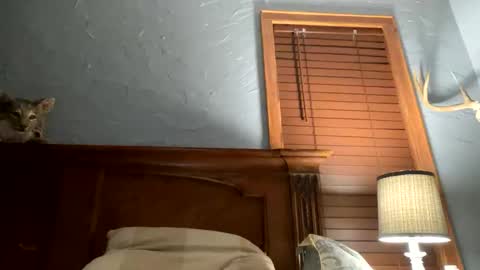 jonbigwhat online show from 12.26.24