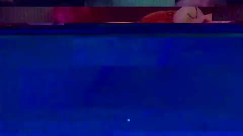 Snapshot of jooshi1981 chatting on 02.12.26 jooshi1981 online show from 02.12.26