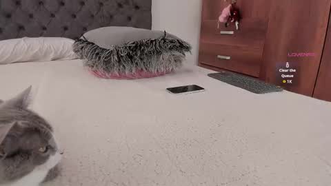 Snapshot of jordanmusk_ chatting on 11.20.25 Will online show from 11.20.25