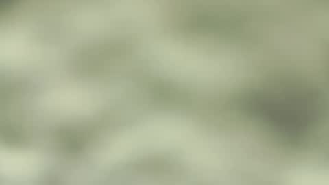 Snapshot of jorgesanma chatting on 03.09.25 Jorge San online show from 03.09.25