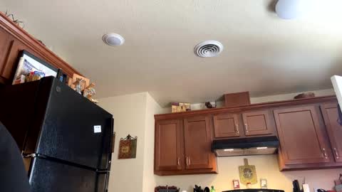 Snapshot of josephung1 chatting on 01.17.25 sissy josphine online show from 01.17.25