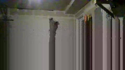 Snapshot of josephung1 chatting on 10.14.25 sissy josphine online show from 10.14.25