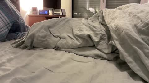 jpr07 online show from 11.10.25