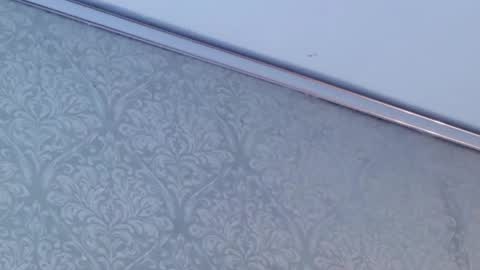 Snapshot of juanita_salv chatting on 02.12.26 juanita online show from 02.12.26