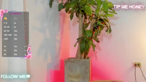 Juan Miguel online show from 02.05.25