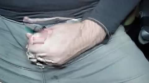 Jrgen Schnfeld online show from 12.20.24