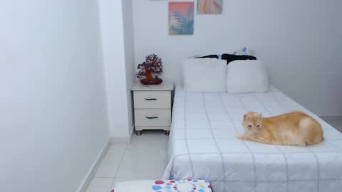 julia online show from 12.30.24