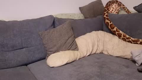 julia_official online show from 11.11.25