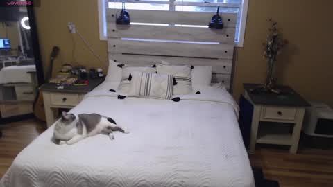 Snapshot of julianaxxxrose chatting on 01.03.25 Texas Mamasita online show from 01.03.25