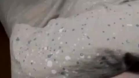 Asian office boy online show from 01.06.25