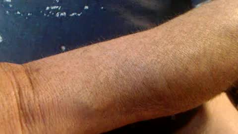 Werner online show from 02.16.25