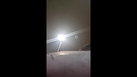 jusntym online show from 04.02.26