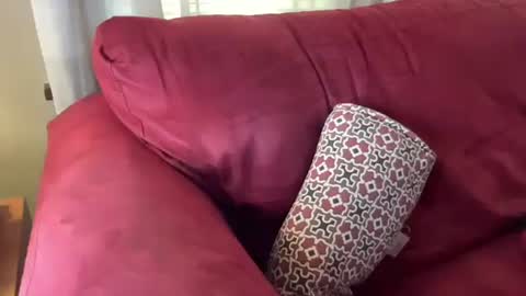 Flirty influncer online show from 03.01.25