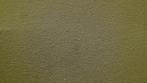 Just marlon online show from 03.03.25