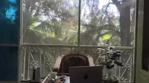 Snapshot of just_place chatting on 12.02.25 just_place online show from 12.02.25