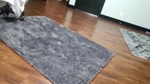 Snapshot of justaskforbiga chatting on 01.15.26 Tohiptwoquit online show from 01.15.26