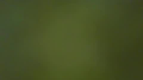 McKeefer online show from 01.23.25