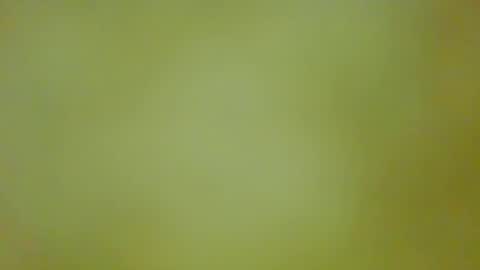 McKeefer online show from 09.13.25