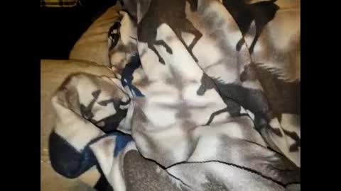 justswack online show from 12.07.24