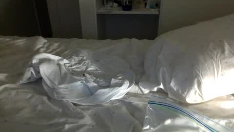 Snapshot of jwill10000 chatting on 01.23.25 J and Sugar snap pea online show from 01.23.25