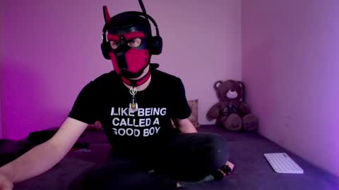 Snapshot of k9_goodboy chatting on 03.22.26 Alex online show from 03.22.26