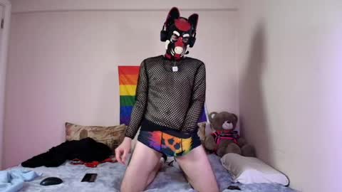 Snapshot of k9_goodboy chatting on 04.09.26 Alex online show from 04.09.26