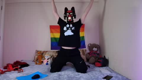 Snapshot of k9_goodboy chatting on 04.15.26 Alex online show from 04.15.26