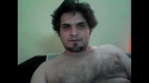 k9cat online show from 03.08.25