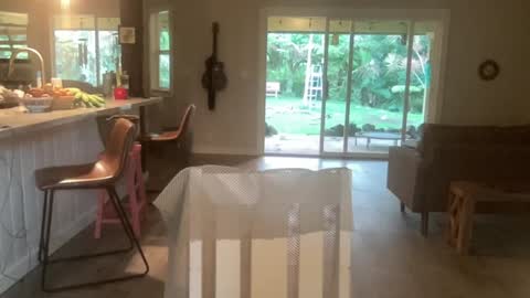 Kailee Smile online show from 10.01.25