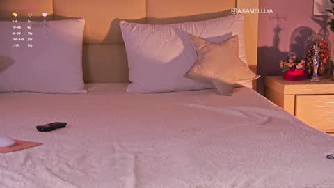 Kamelllya online show from 02.02.25