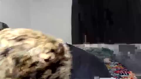 kammy   y   camila online show from 04.09.26