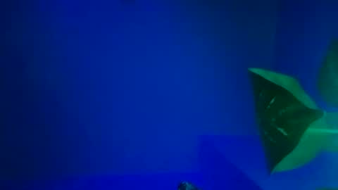 Snapshot of karla_gonzaless chatting on 11.09.25 Karla Gonzaless online show from 11.09.25