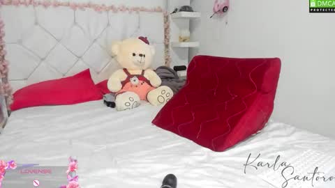 Snapshot of karla_santoro chatting on 12.16.25 Karla Santoro online show from 12.16.25