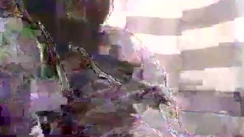 Karlos Montoya online show from 01.01.25