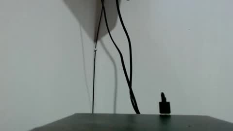 Tamires e Maicon online show from 11.03.25