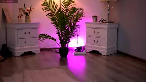 Kassidy online show from 02.11.26