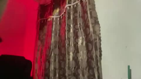 Snapshot of kat_hollandx chatting on 11.20.25 Majesty online show from 11.20.25