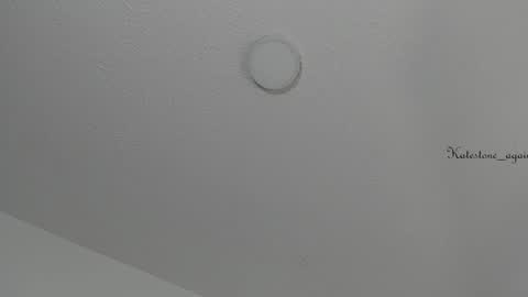 Snapshot of katestone_again chatting on 03.08.25 love meeee online show from 03.08.25