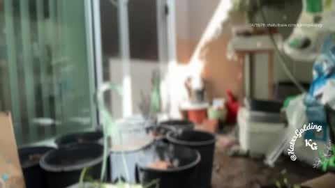 Princesse Kat  online show from 04.18.26