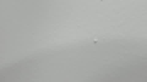 katy blonde girl and paola big boobs online show from 02.12.25