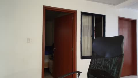 Snapshot of kaurilop chatting on 12.13.24 Kauri Lop online show from 12.13.24