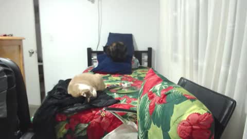  Khawit  online show from 01.10.26