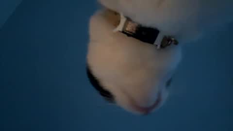 keepquietj online show from 01.20.25