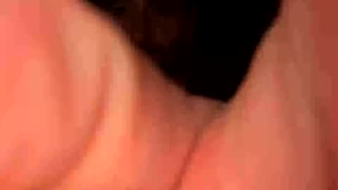 keepquietj online show from 01.20.25